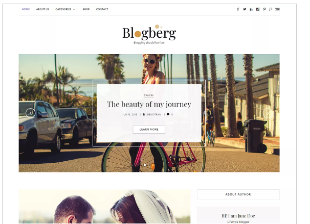 5 Best Blog WordPress Theme - Ample Themes