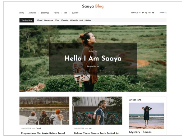 5 Best Blog WordPress Theme - Ample Themes