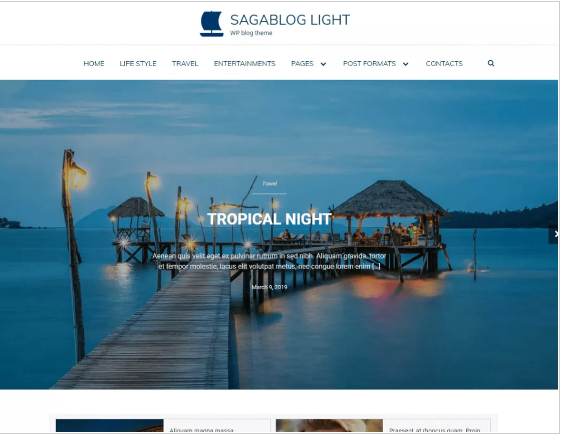 5 Best Blog WordPress Theme - Ample Themes