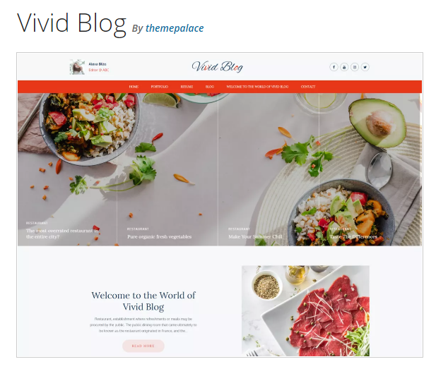 5 Best Blog WordPress Theme - Ample Themes