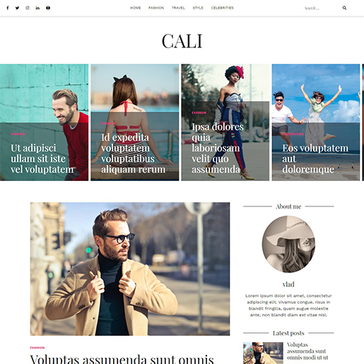 Best Free Responsive Personal Blog WordPress Themes 2019 - Ample Themes