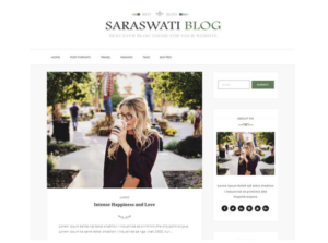 15+ Best and Free WordPress Blog Themes 2020