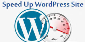 WordPress-Speed