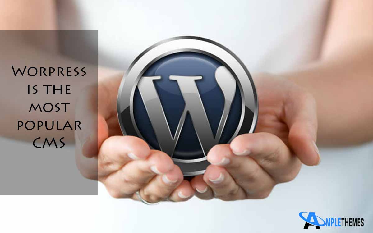 wordpress most popular cms